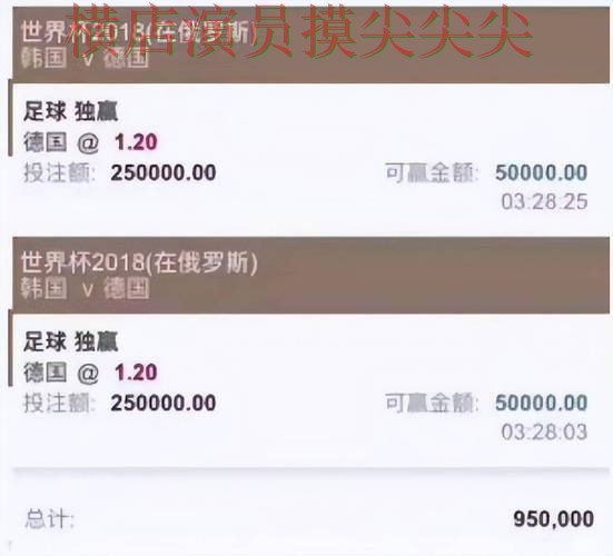世界杯官方信息期间热门世界杯买球平台汇总与安全入口分析